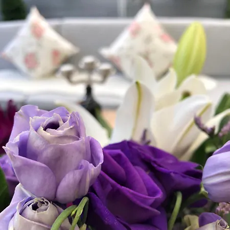 Casa de hóspedes Gaestehaus Schmidt