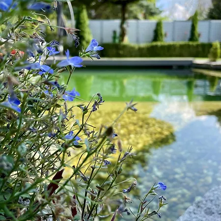 Gaestehaus Schmidt Bad Lippspringe