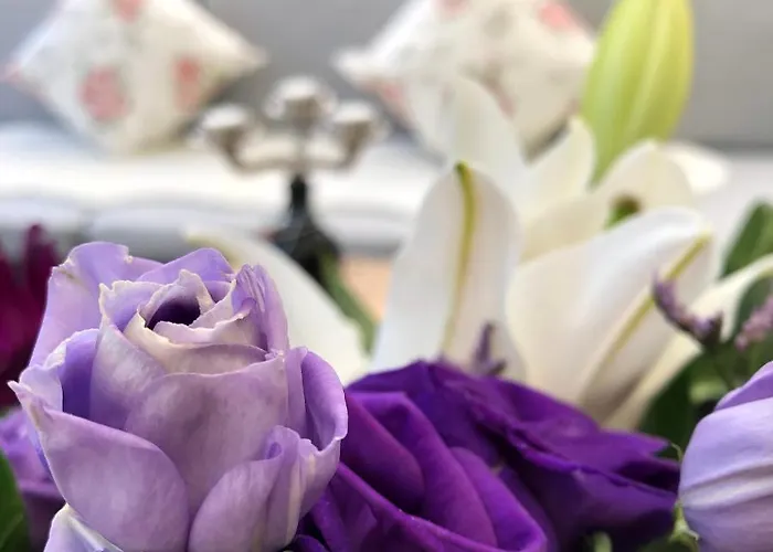 Maison d'hôtes Gaestehaus Schmidt