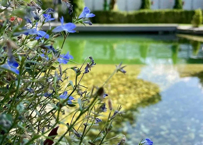 Gaestehaus Schmidt Bad Lippspringe